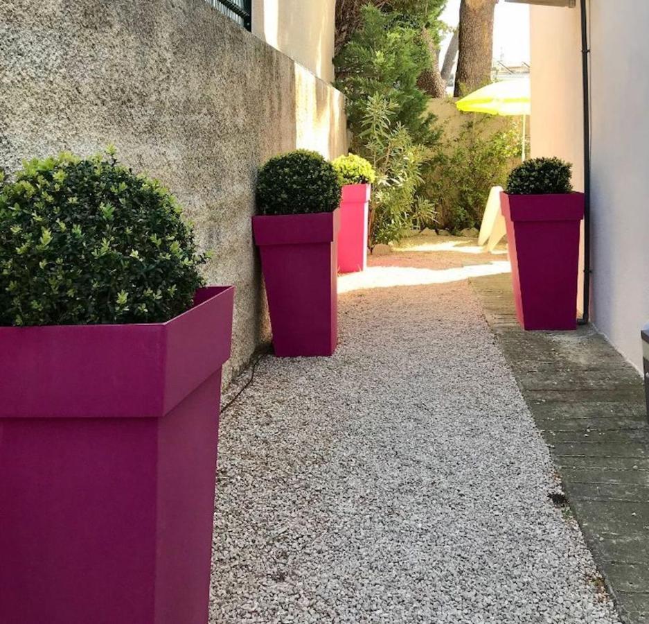 Villa Du Golfe - Studio Saint Jean La Ciotat Exteriér fotografie